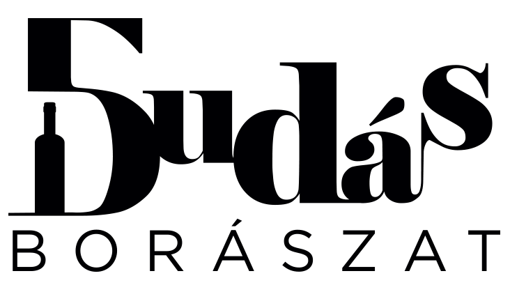 5Dudas Brand Logo